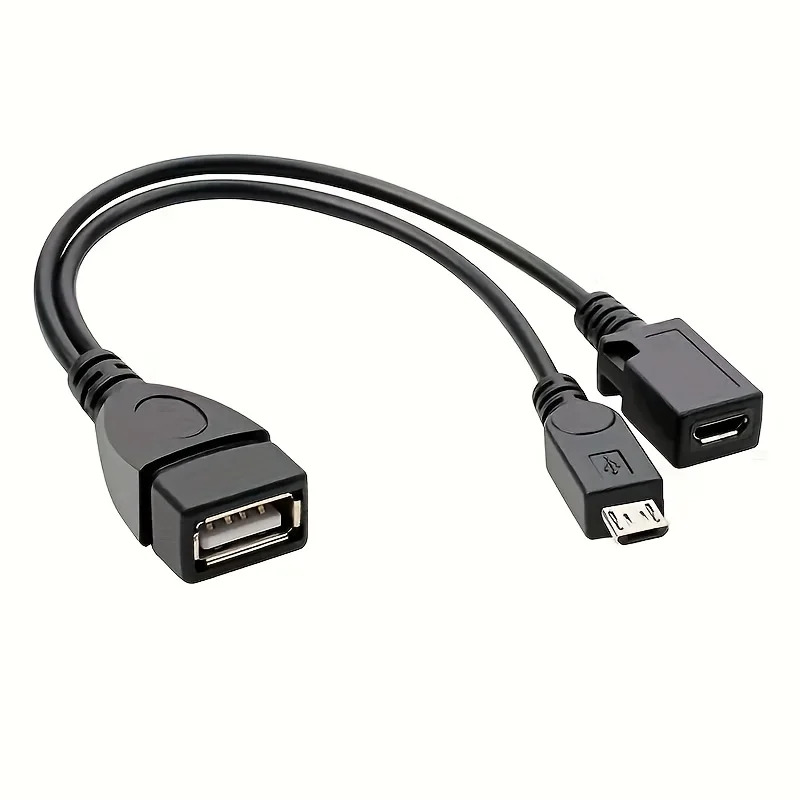 2-in-1 OTG USB to Micro USB Sp - Fire Tablet Accessories ulasan dan harga