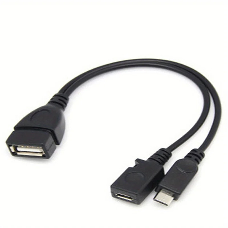 2-in-1 OTG USB to Micro USB Sp - Fire Tablet Accessories ulasan dan harga