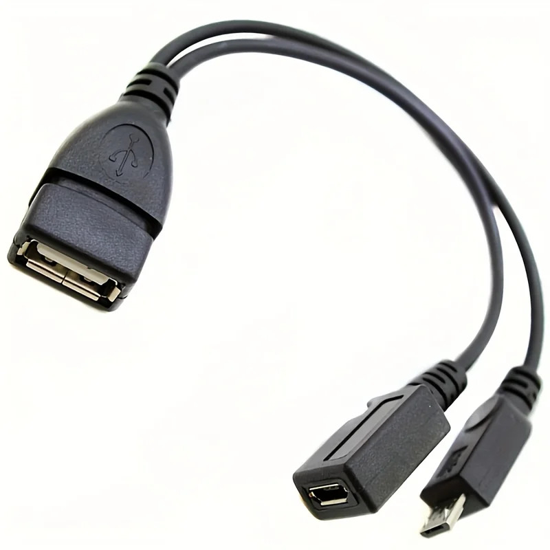 2-in-1 OTG USB to Micro USB Sp - Fire Tablet Accessories ulasan dan harga
