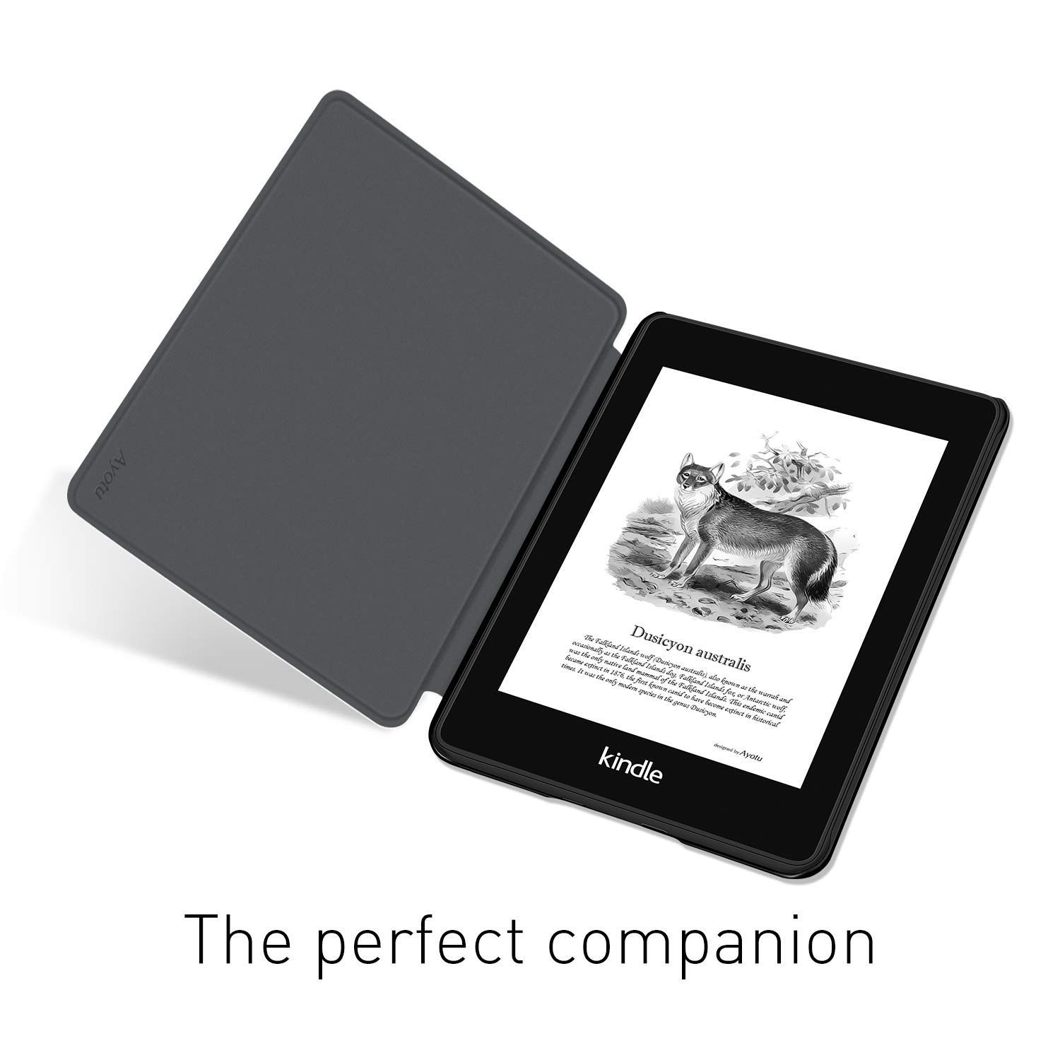 For Kindle Paperwhite 5/6/7th  - Kindle Tablet Accessories ulasan dan harga